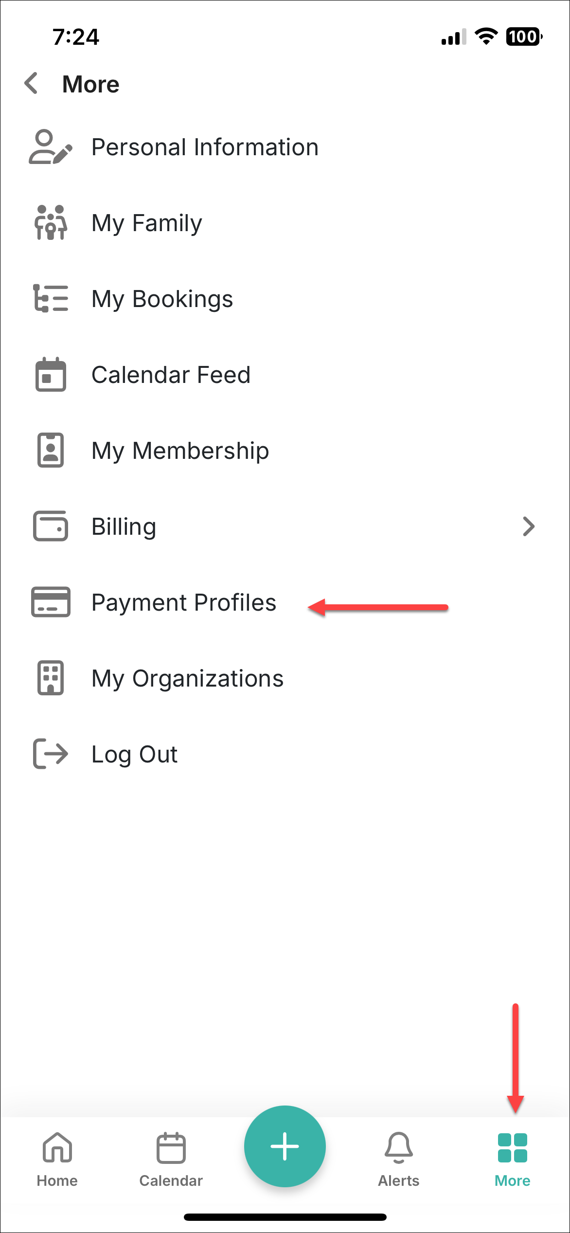 Izbornik More — Payment Profiles opcija